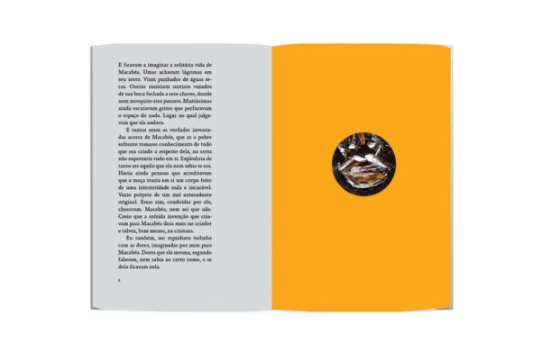 Macabéa: Flor de Mulungu - Image 3