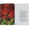 Macabéa: Flor de Mulungu - Image 4