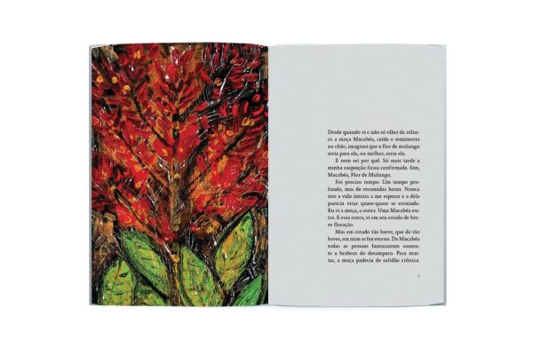 Macabéa: Flor de Mulungu - Image 4